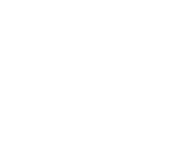 Advanced SS (2)