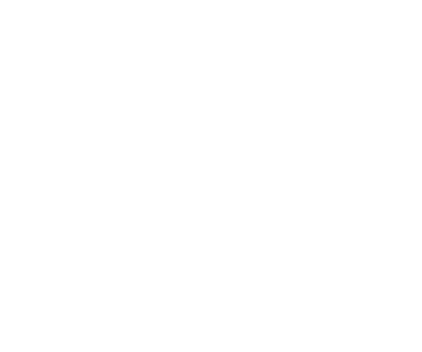Sleco